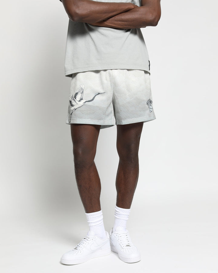 Nash Mesh Basketball Shorts - twentytees